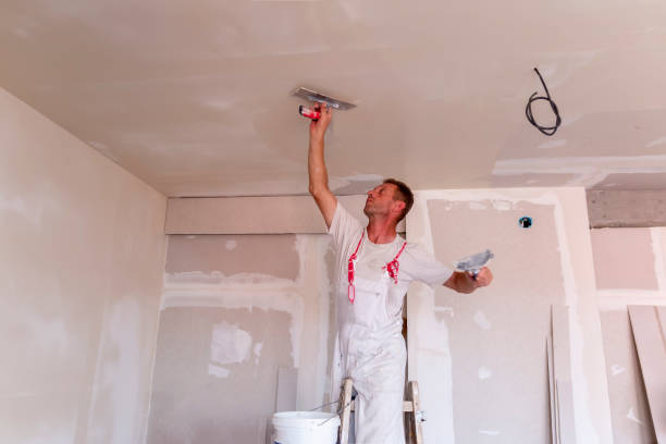 Best Water-Damaged Drywall Repair  in Chester, IL